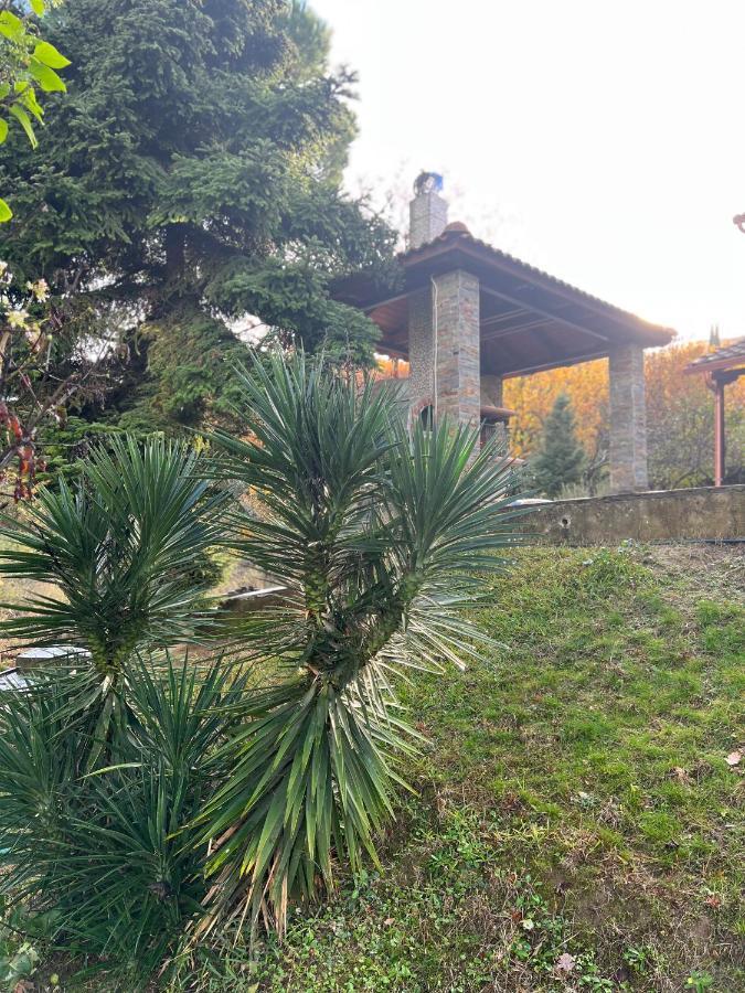 Appartamento House In The Woods Kardítsa Esterno foto
