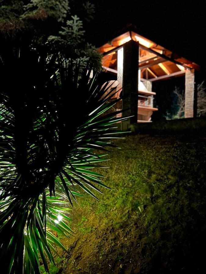 Appartamento House In The Woods Kardítsa Esterno foto